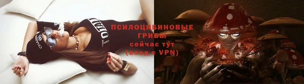мдпв Покров