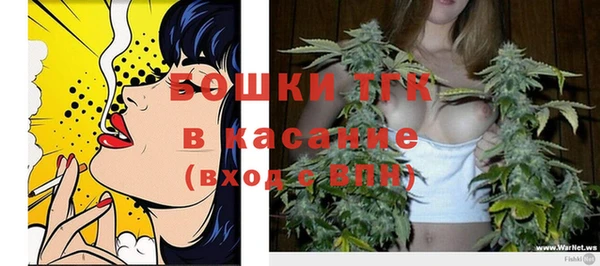 тгк Протвино