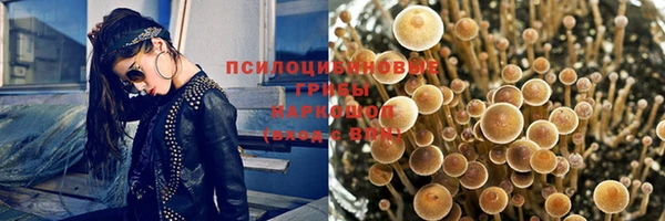 амф Покачи