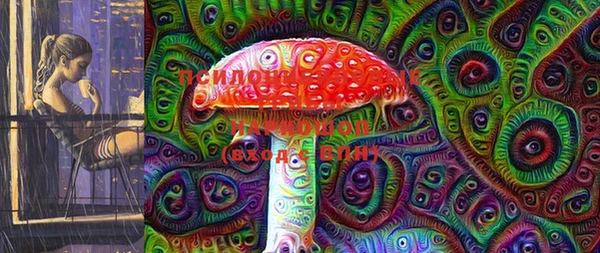 амф Покачи